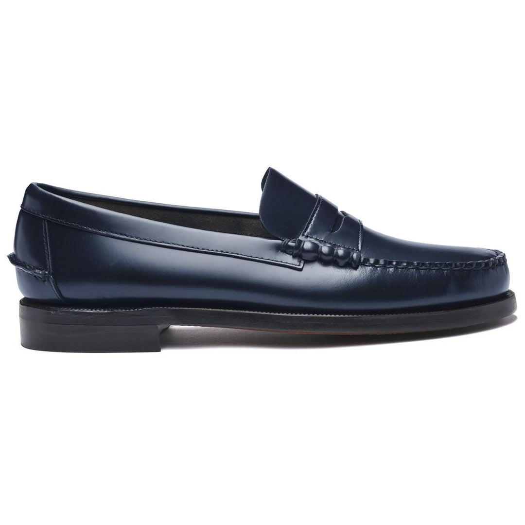 Classic Dan Pigment | Brilliant Blue