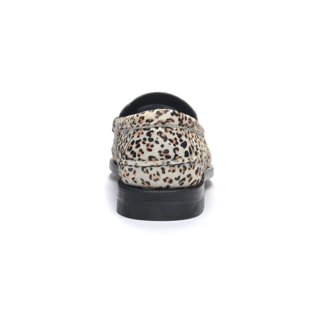 Dan Wild | Cheetah